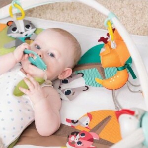 TL3333120511_3_Tapis_Eveil-bébé_Plush_Gymini_Dans-La-Foret_Tiny-Love Tapis d'Éveil Plush Gymini Collection Dans la forêt