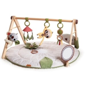 Tapis d'Éveil avec Arche en Bois Collection Boho Chic