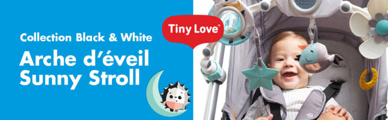 Arche de Jeu Et Activités Articulées Sunny Troll Princesse (0+)