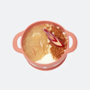 Kit Repas Bol+Cuillère TAST'ISY Renard Terracota (15-24mois)