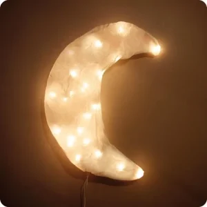 Fani Chambas Lune Allumée