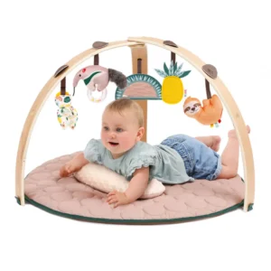 Ludi 20013 2 Ludi Tapis Arche Bois