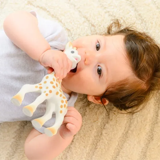 Sophie La Girafe 616405 sophie la girafe (4) Sophie La Girafe + Hévéa