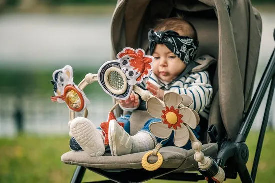 Tiny Love 3333140541 1 Arche De Jeu Et Éveil Tiny Love Sunny Stroll Tiny Rockers (0+)