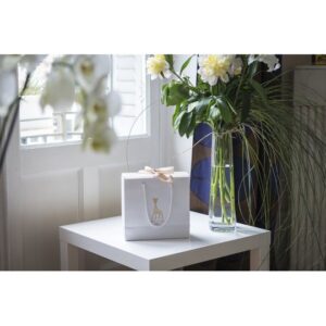 coffret naissance classique n4 sophie la girafe hochet soft maracas