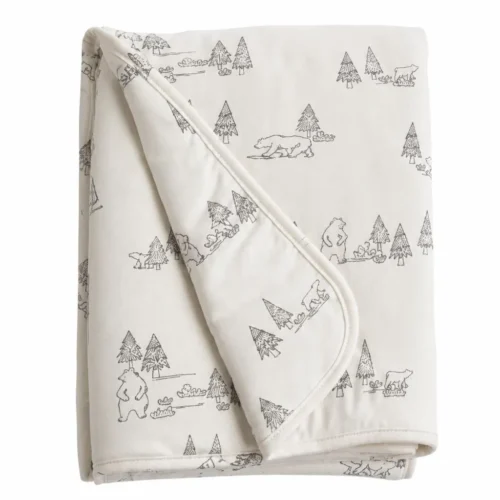 Doomoo DS06 1 Couverture Bébé Dream Family Grey
