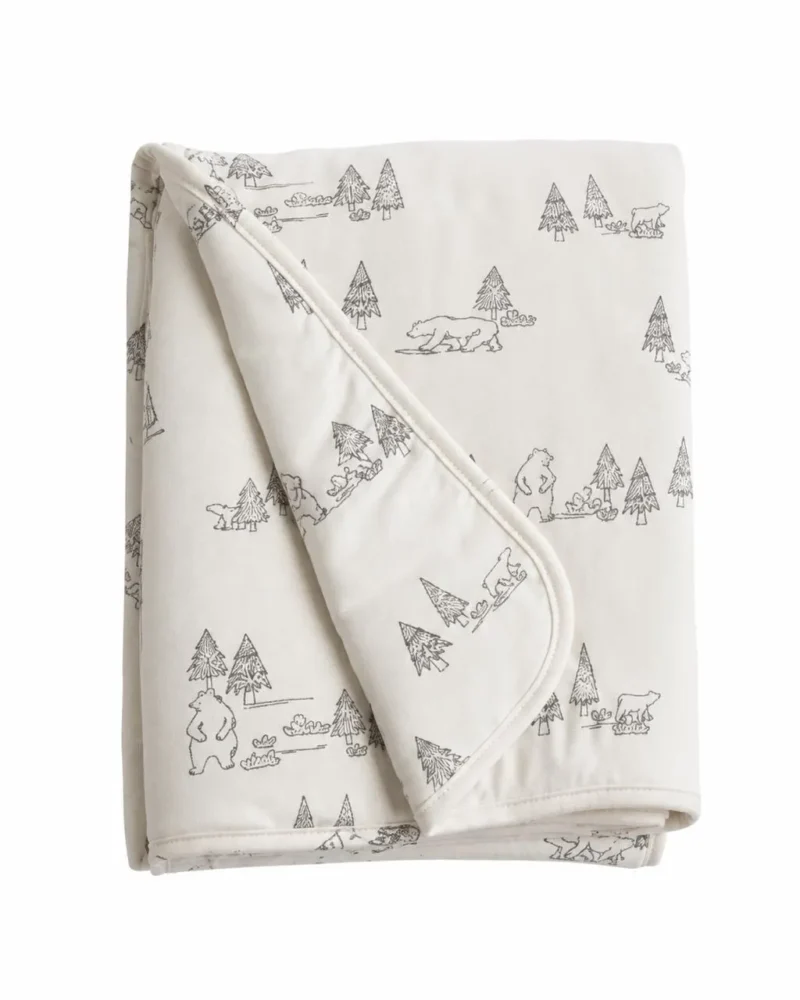 Doomoo DS06 1 Couverture Bébé Dream Family Grey