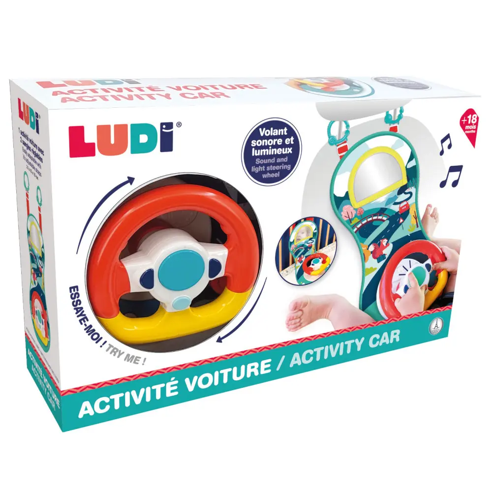 Panneau d'Activités, Volant de Voiture