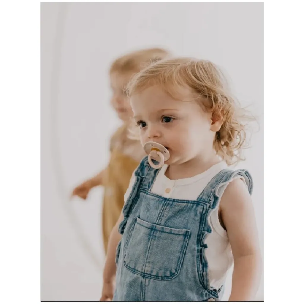 Bibs,2 Tétines Color Bibs Blush Ivory Blush Ivory, 125286, www.millelunes.com
