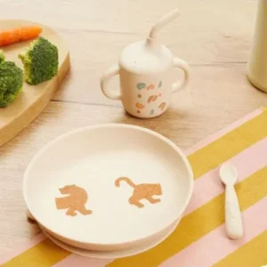 Babymoov A005409 2 Coffret Repas Bébé Deuxième Âge Little Roar